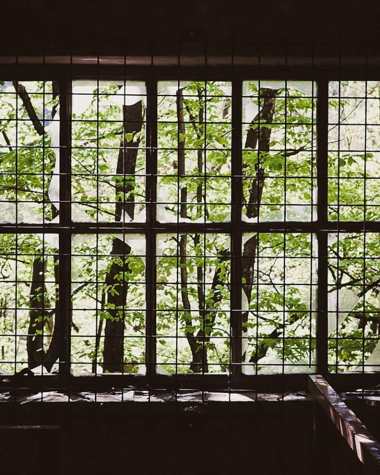 Hyaluronic Moisture Complex